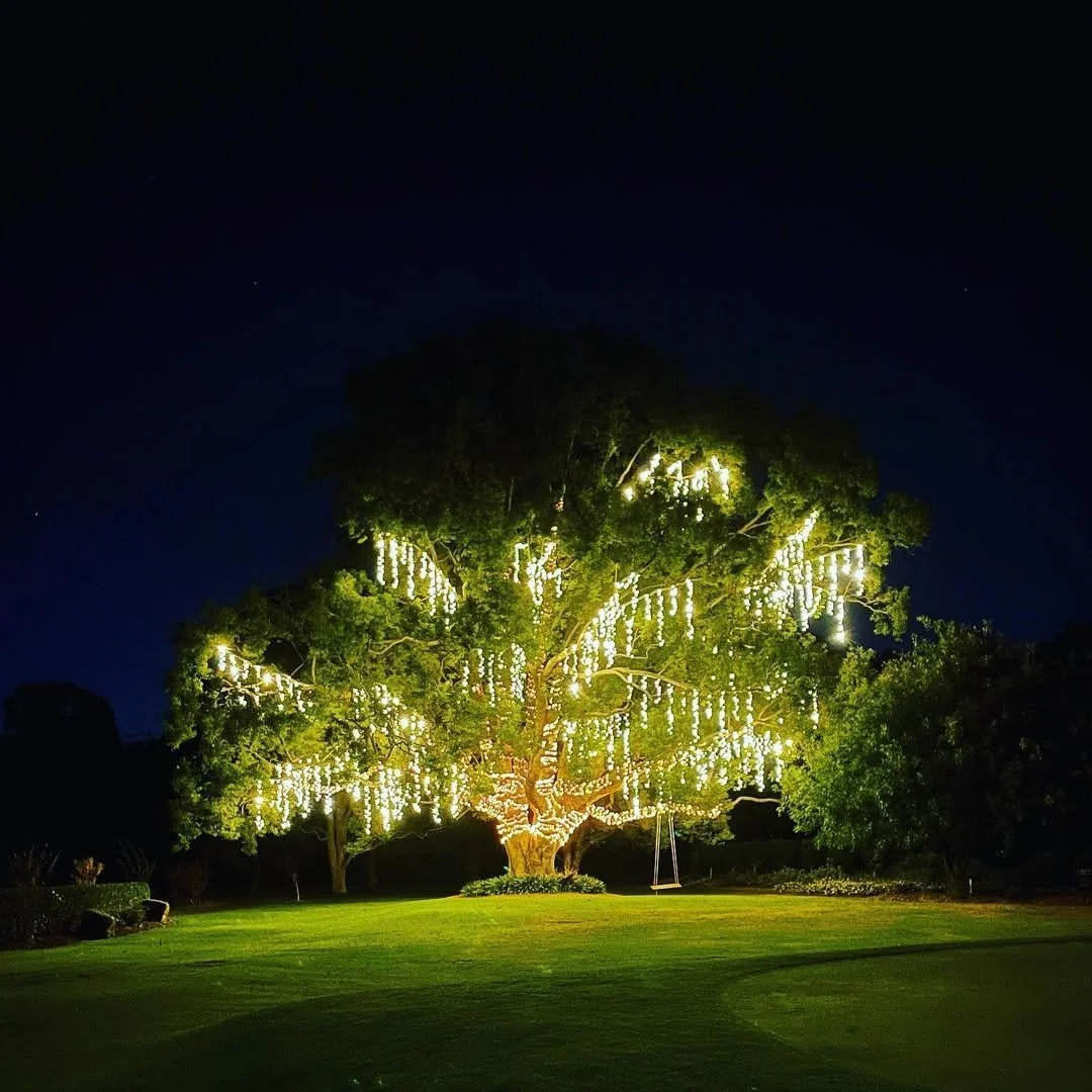 All lit up and looking beautiful. ✨