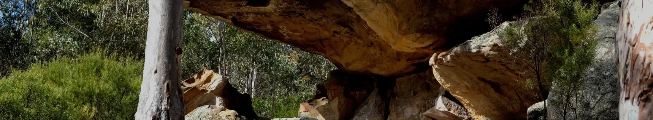 Large rock formation with overhanging ledge in a natural wooded area, surrounded by trees and rocks.