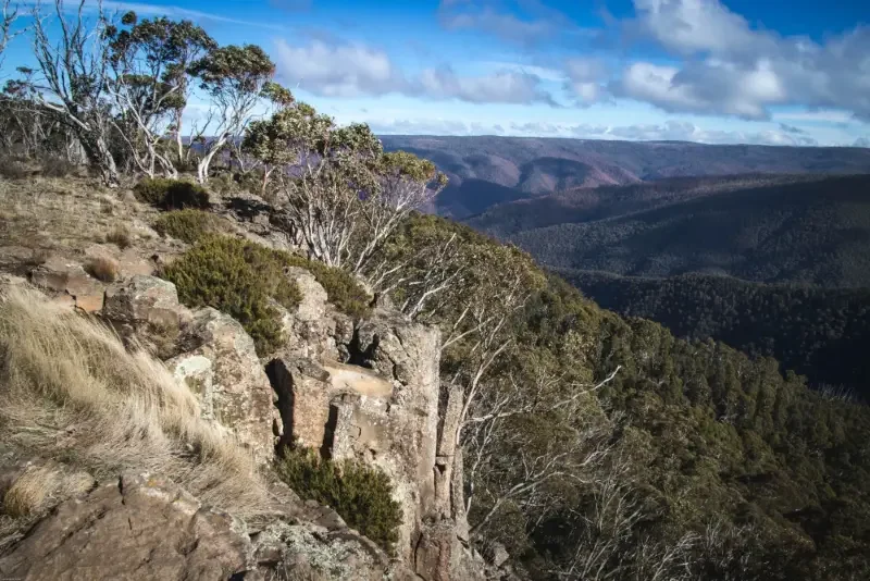 Rock escarpment outlook across a vegetated landscape in the Blue Mountains, Sydney for Biodiversity Stewardship Site Assessment Report (BSAAR)