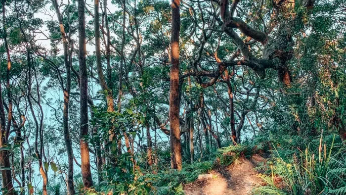 Biodiversity Conservation Fund Charge System – What’s New?