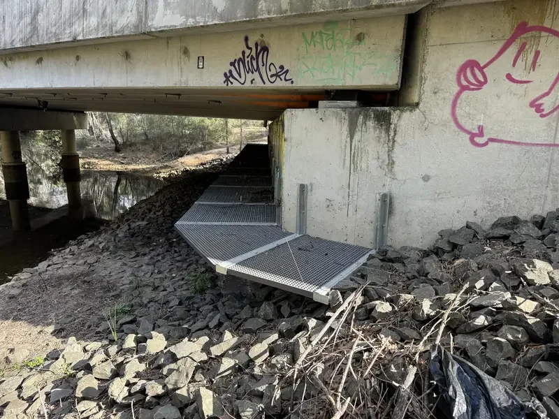 Raised platform to facilitate Koala movement under a bridge