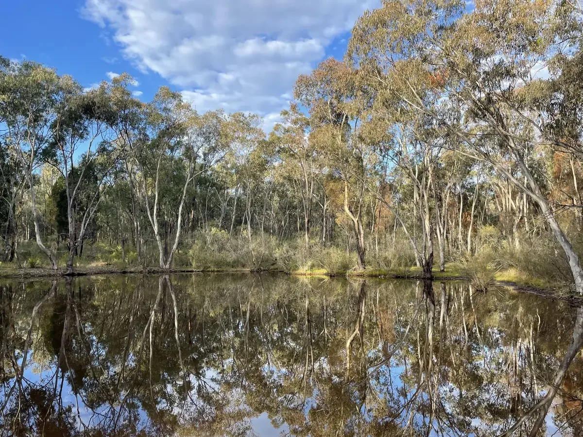 Biodiversity Stewardship Site Feasibility Assessment