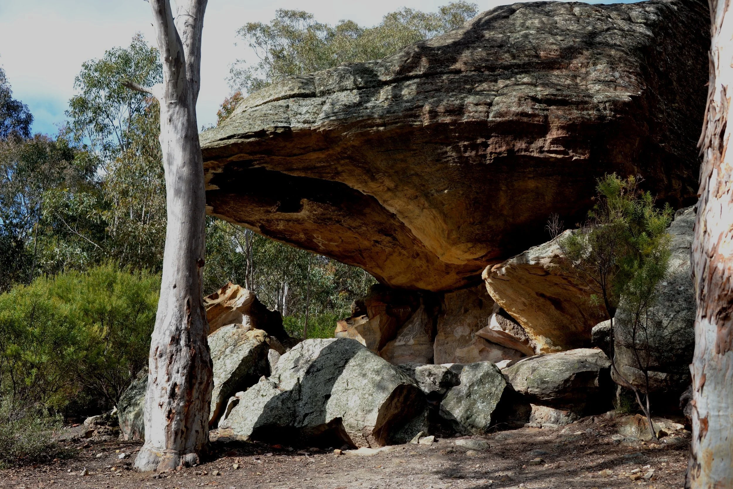 Large rock formation resembling a natural shelter or cave, surrounded by trees and rocks in a forested area.