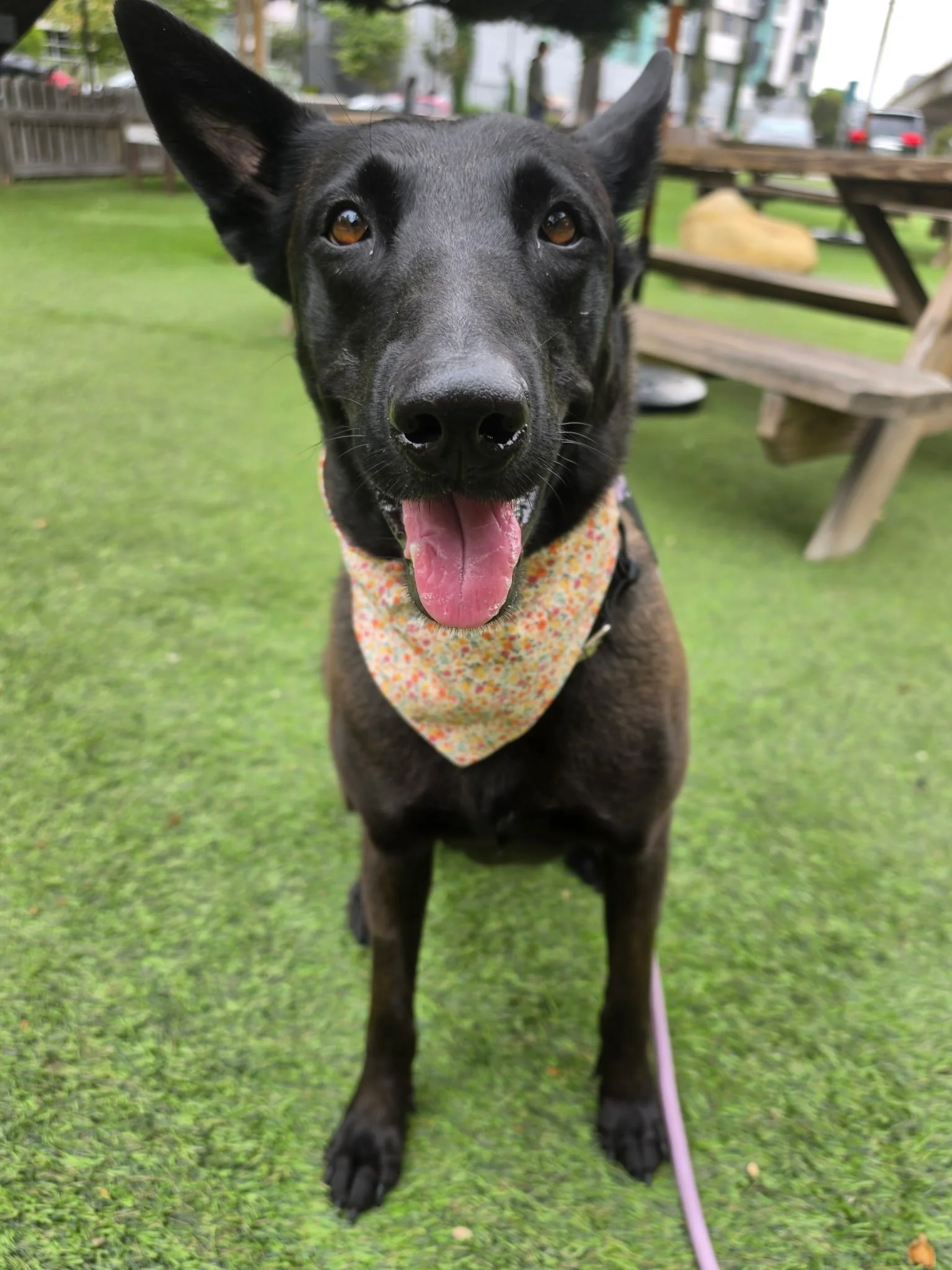 Frida New 1a.jpg