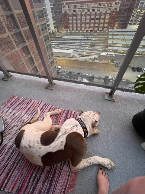 image13.jpeg