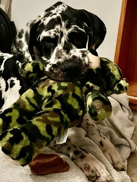 image12.jpeg