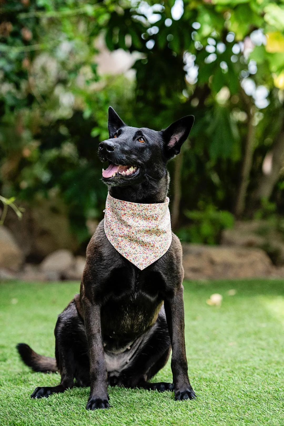 Frida New 2.JPG