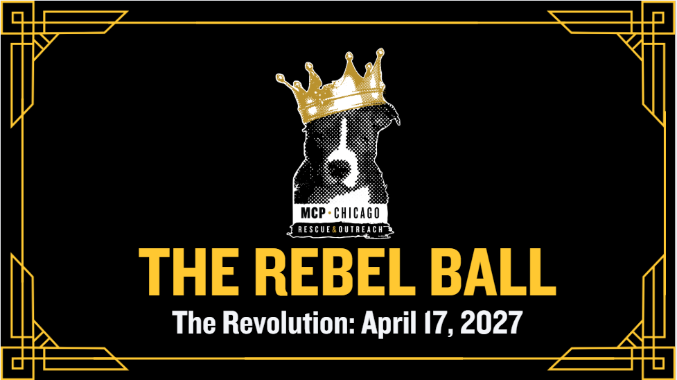 Rebel Ball 2027-Save the date!