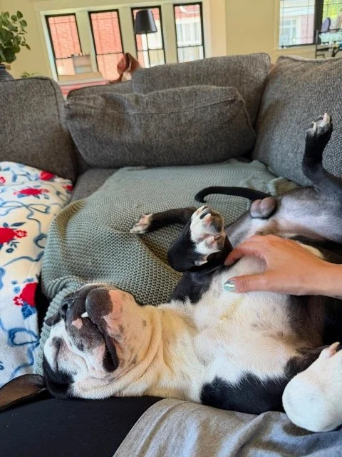 image1.jpeg