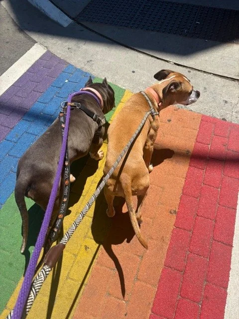 image9.jpeg