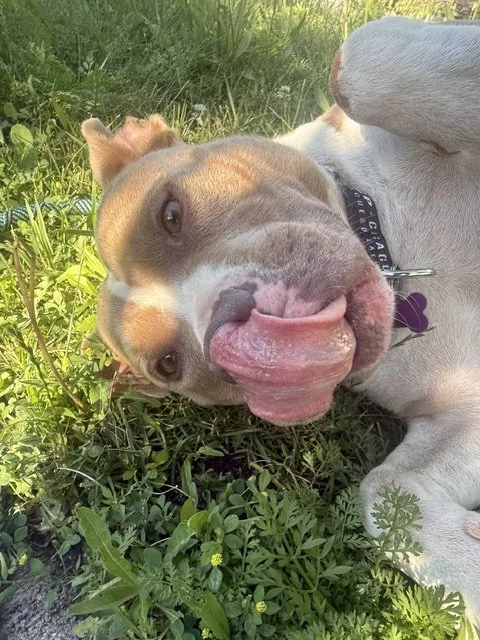 image0.jpeg