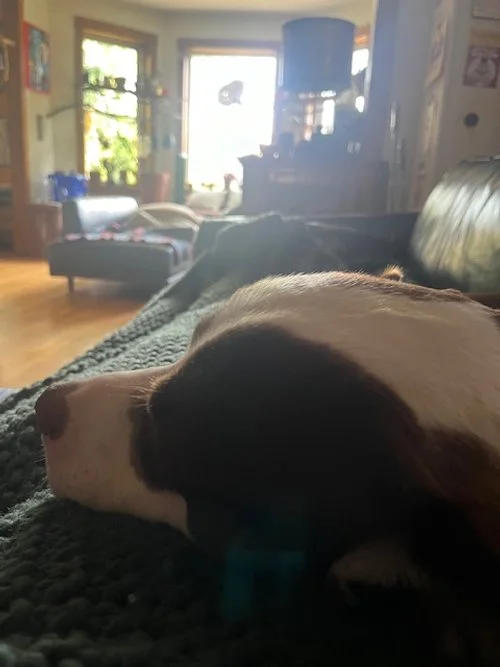 image1.jpeg