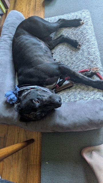 image9.jpeg