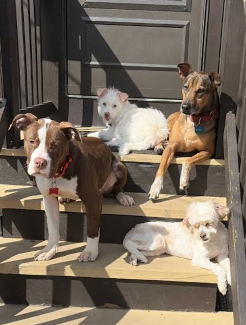 Screen Shot 2026-04-20 at 6.54.40 PM.png