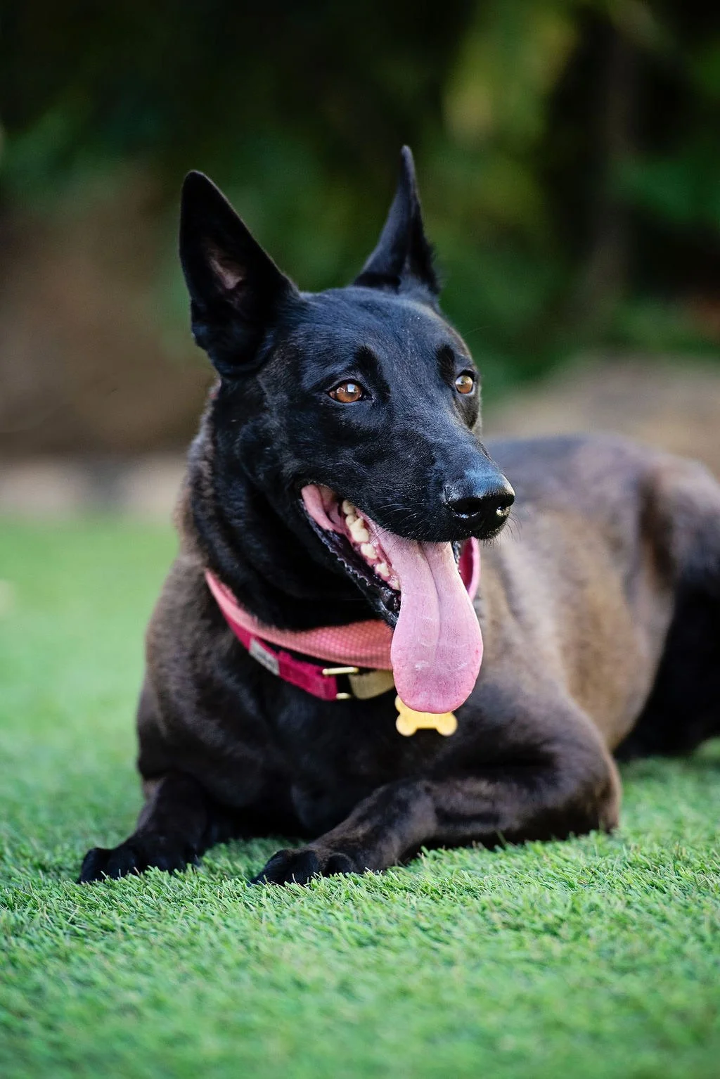 Frida New 8.JPG