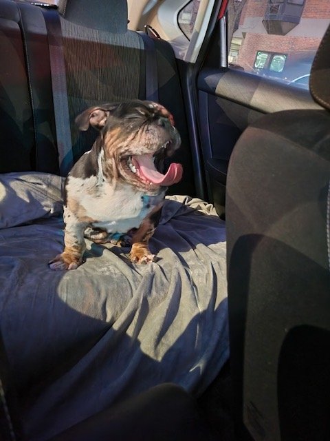 image12.jpeg