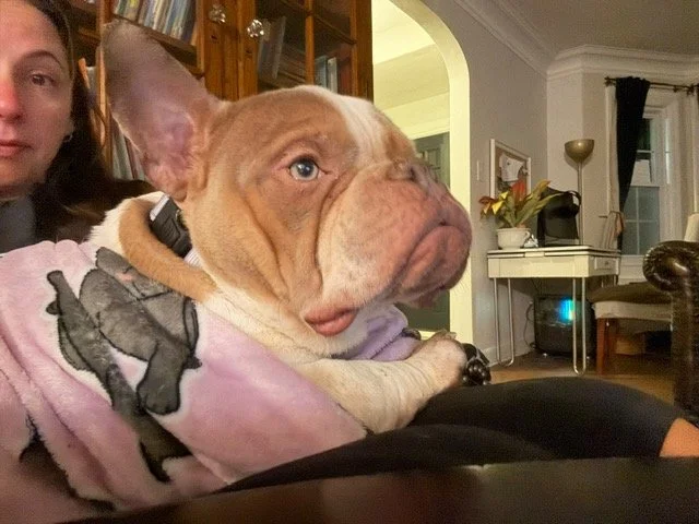 image2.jpeg