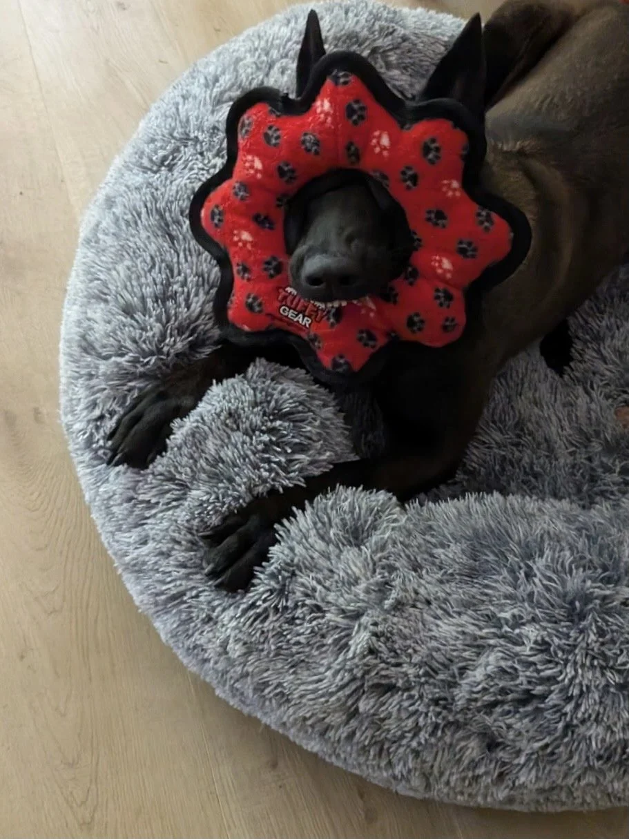 Frida New 11.jpg