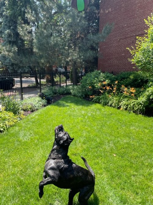 image5.jpeg