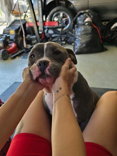 image12.jpeg