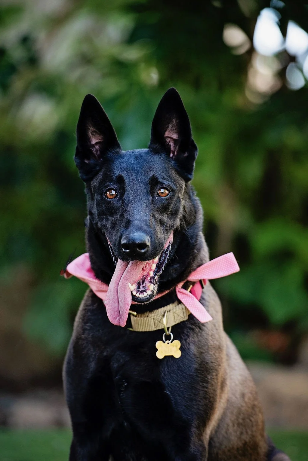 Frida New 7.JPG