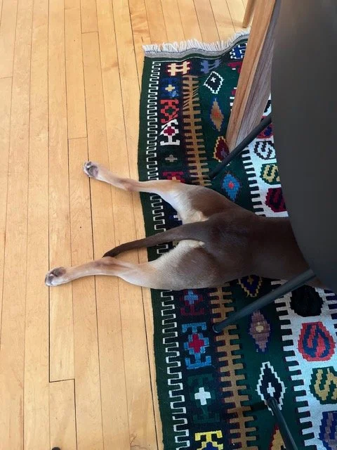 image9.jpeg