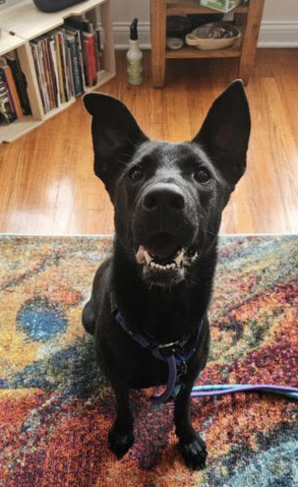 Screen Shot 2025-12-28 at 3.30.43 PM.png