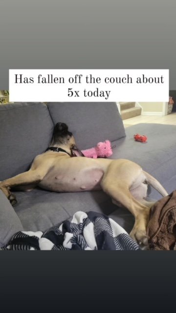 image5.jpeg