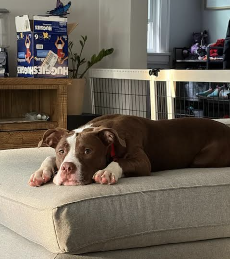 Screen Shot 2026-04-20 at 6.54.18 PM.png