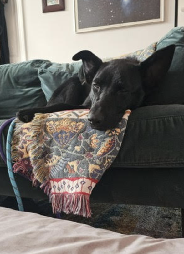 Screen Shot 2025-12-28 at 3.31.16 PM.png