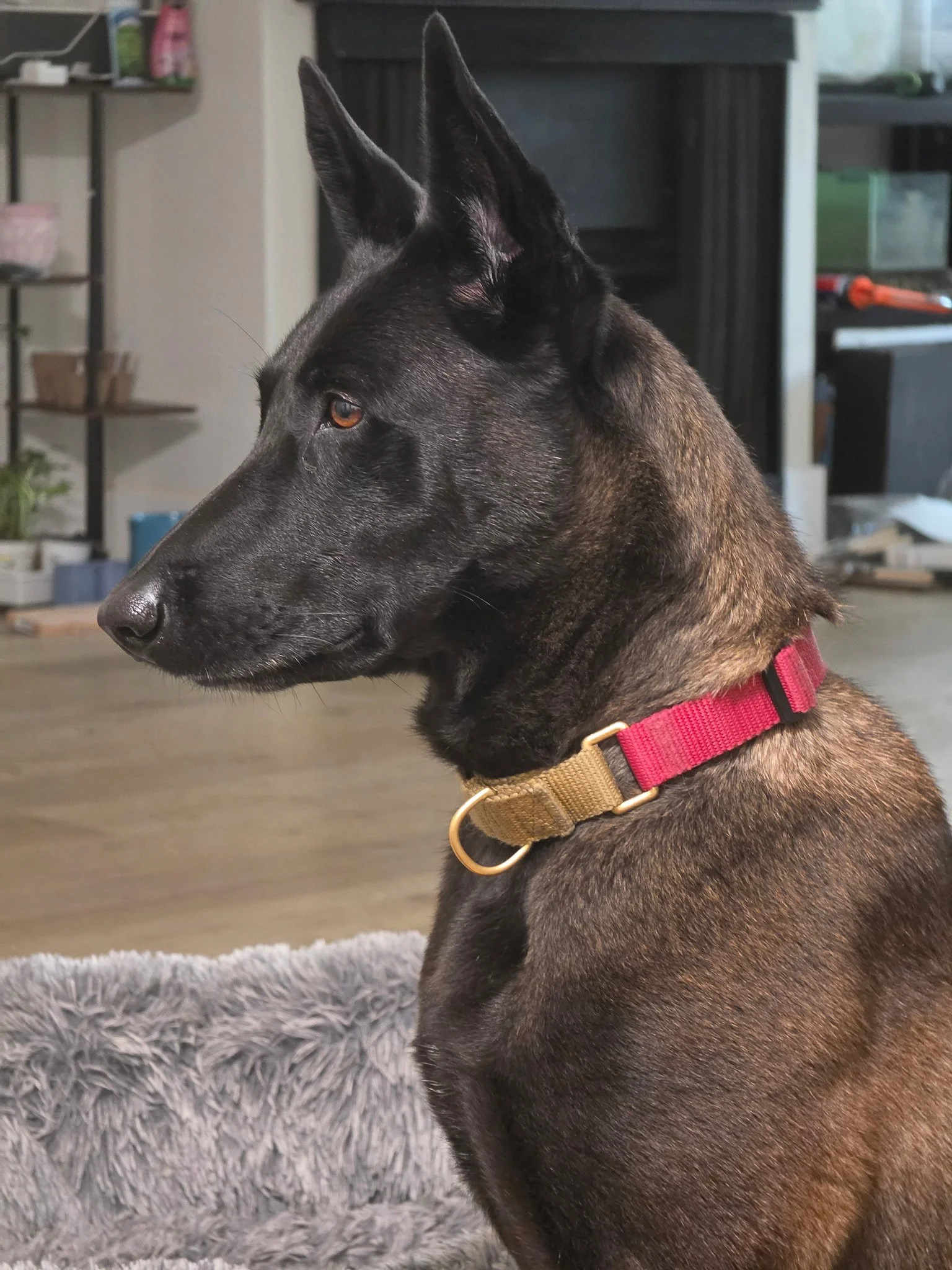 Frida New 13.JPG