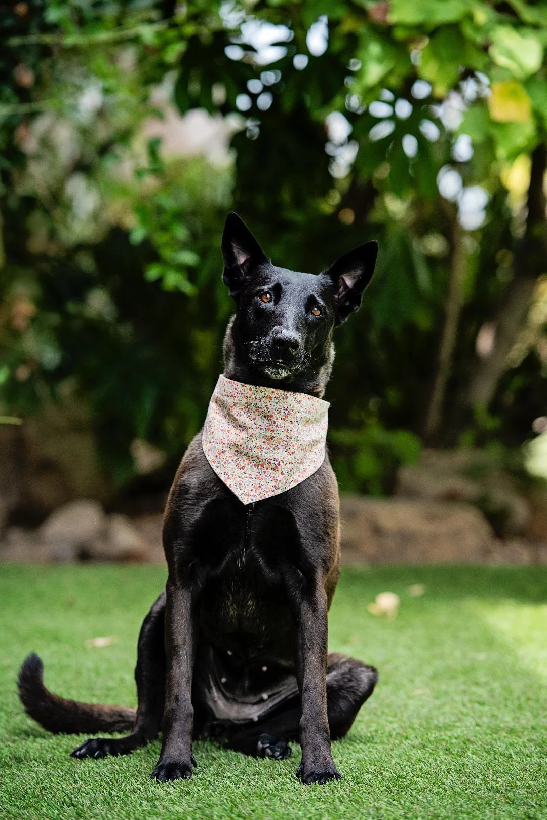 Frida New 4.JPG