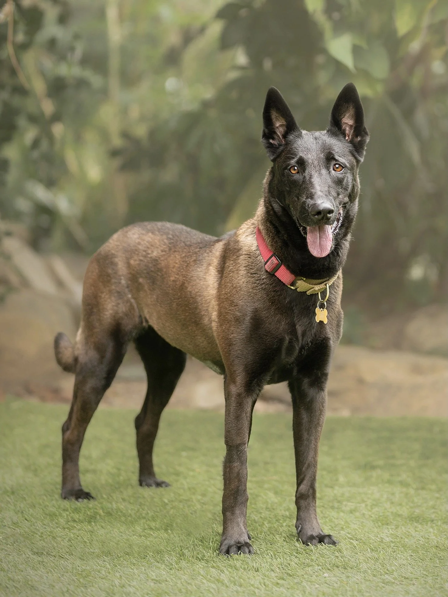 Frida New 6.JPG