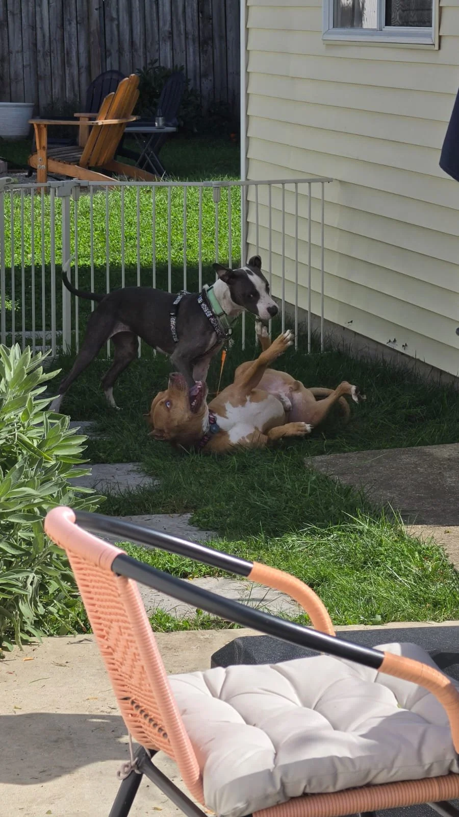 image1.jpeg