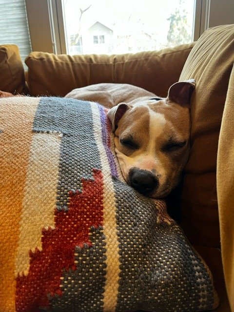 image0.jpeg