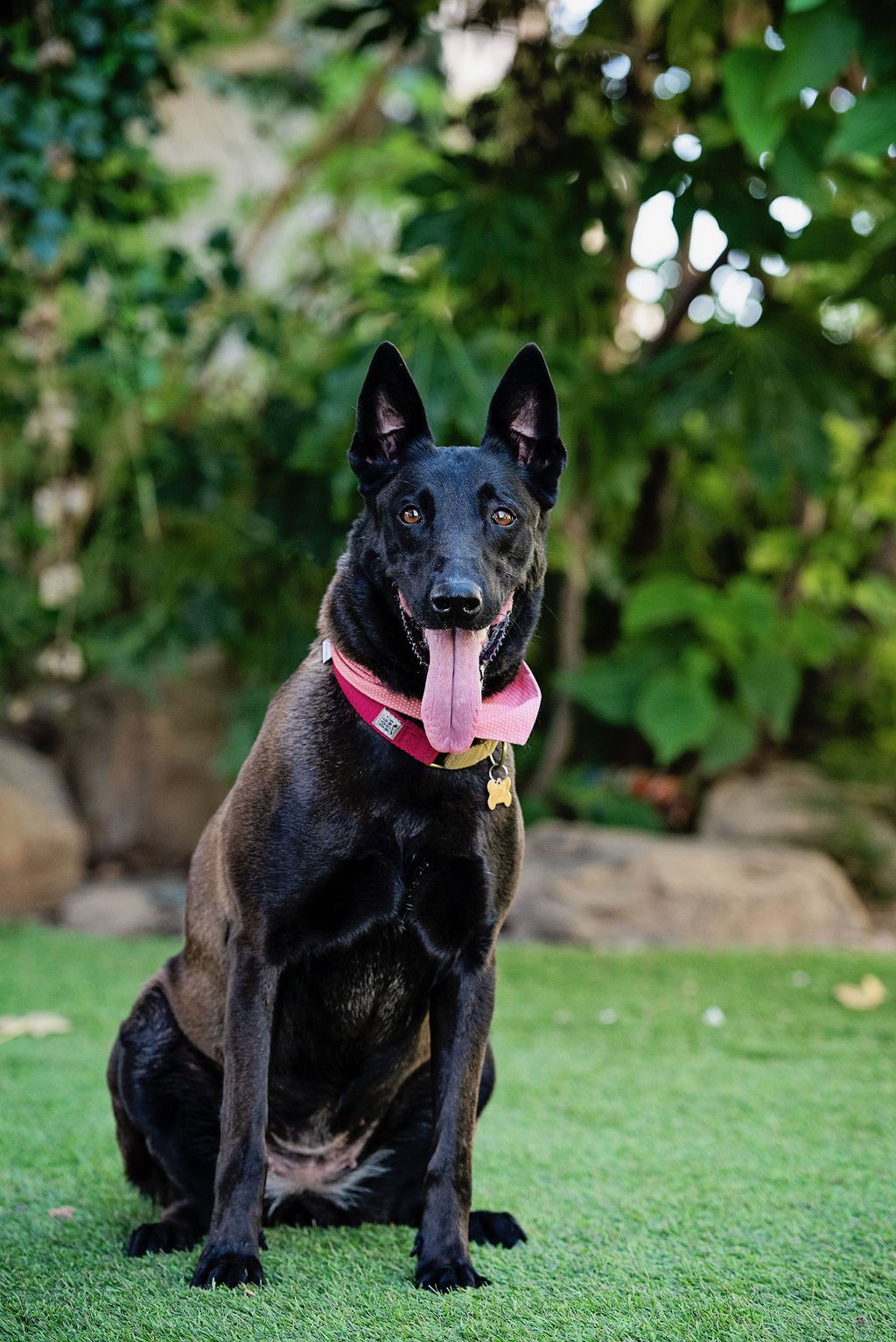 Frida New 9.JPG