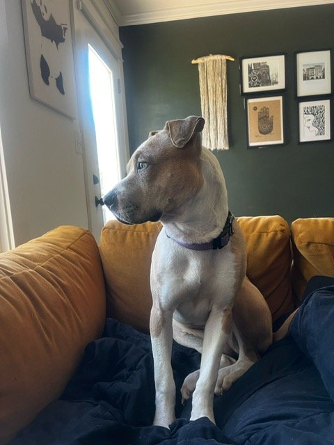 image5.jpeg