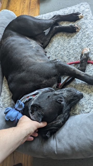 image10.jpeg