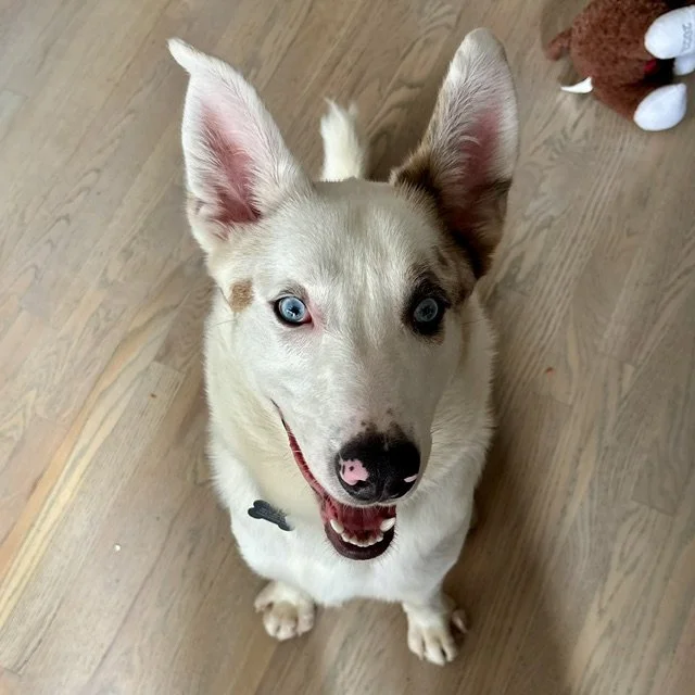 image1.jpeg