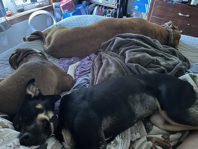 image1.jpeg