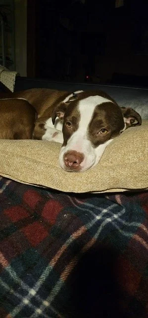 image17.jpeg