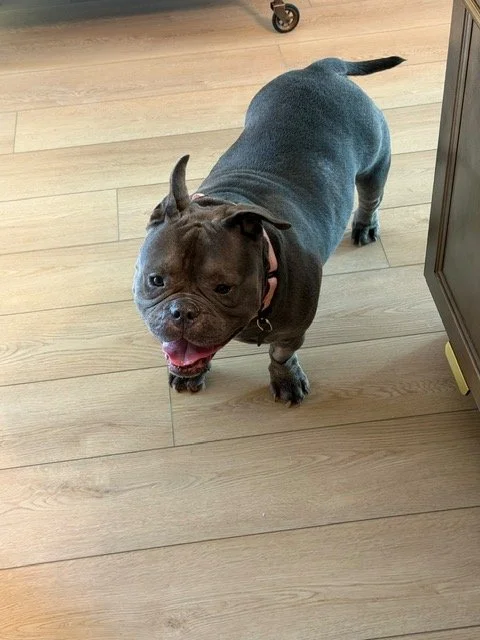 image11.jpeg