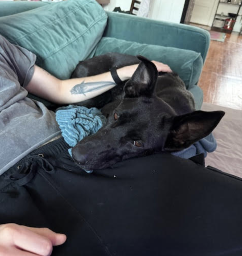 Screen Shot 2025-12-28 at 3.30.49 PM.png