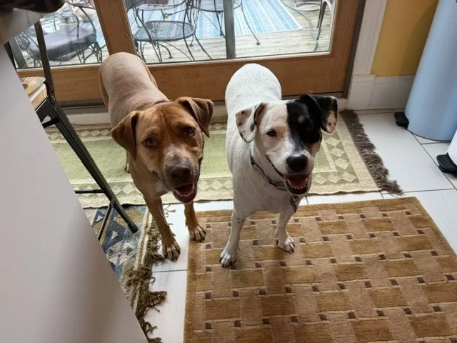 image5.jpeg