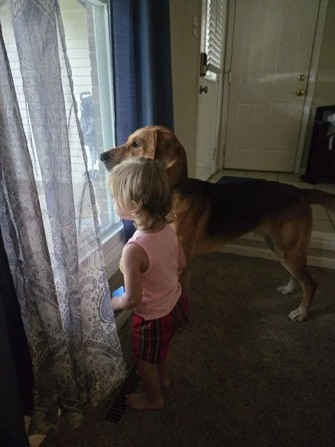 image4.jpeg