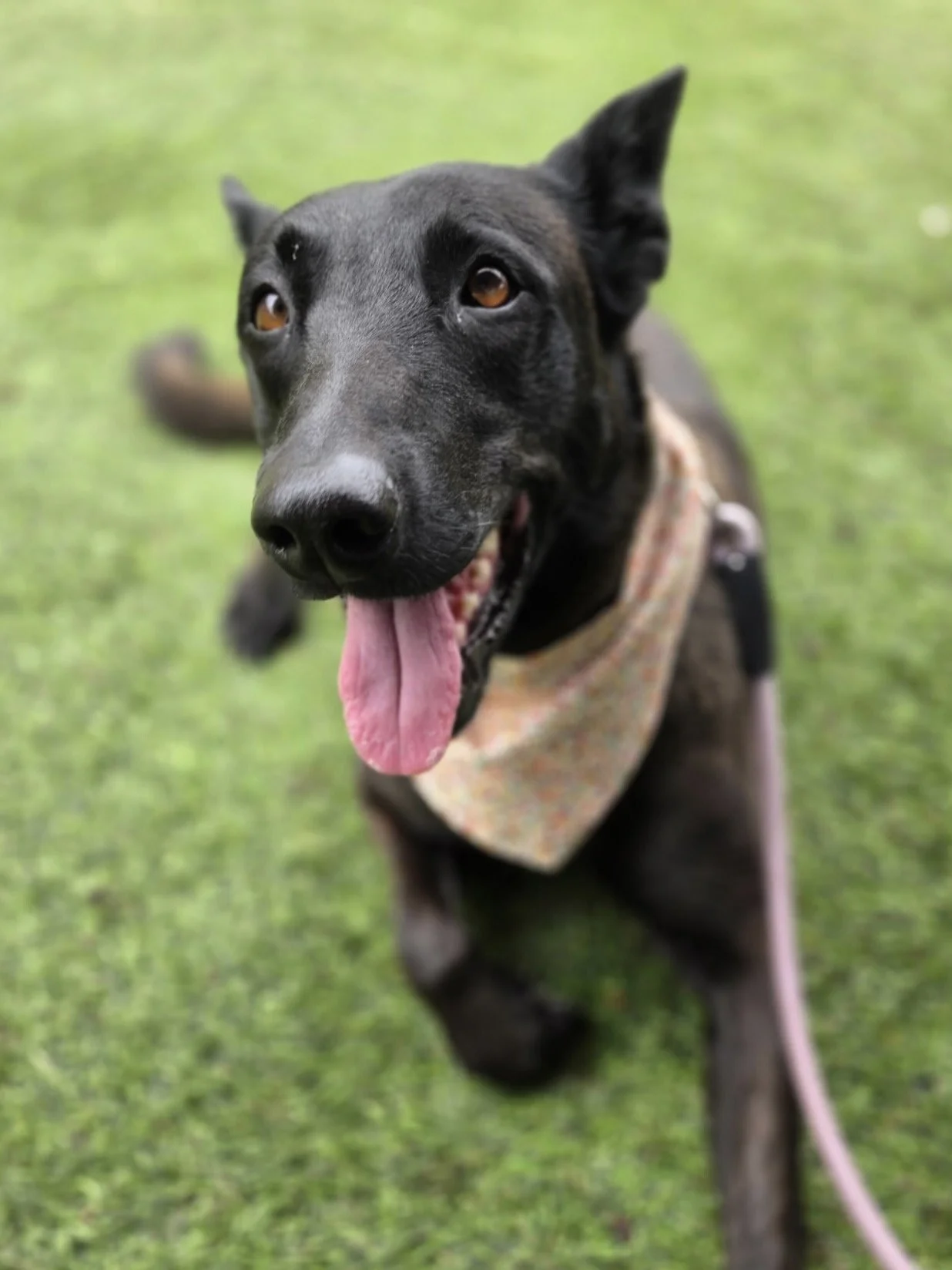 Frida New 3.jpg