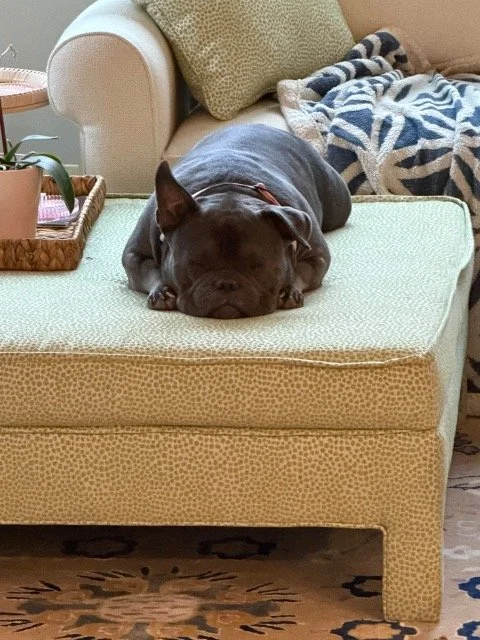 image15.jpeg