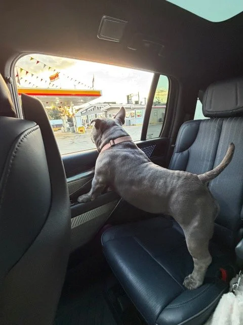 image6.jpeg