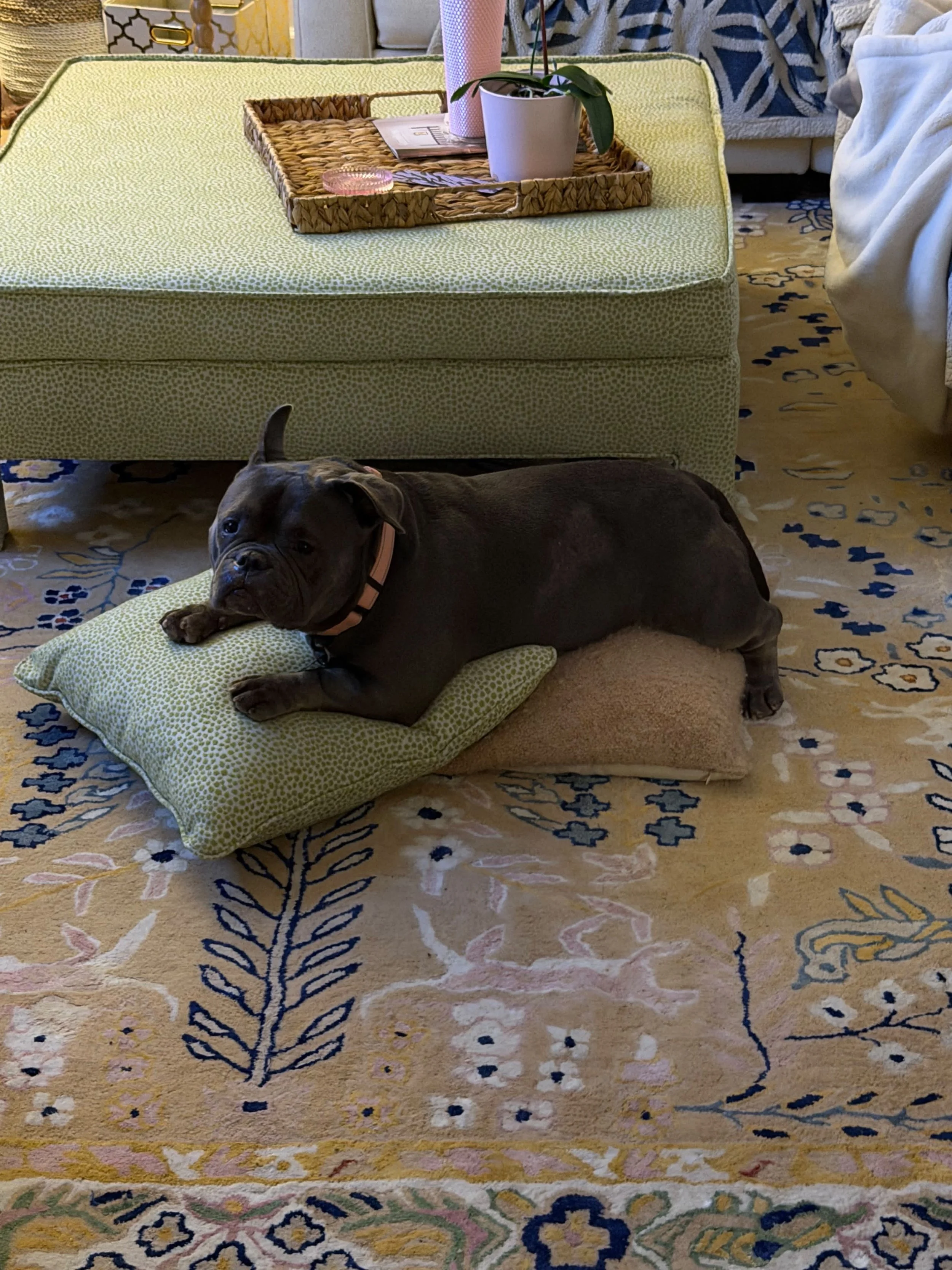 image12.jpeg
