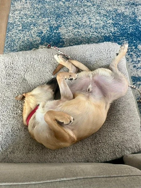image10.jpeg